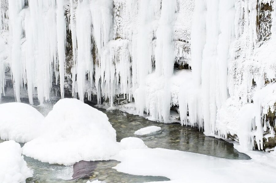 Lapland: The Frozen Waterfalls of Korouoma Tour - Walking the snowy forest trail