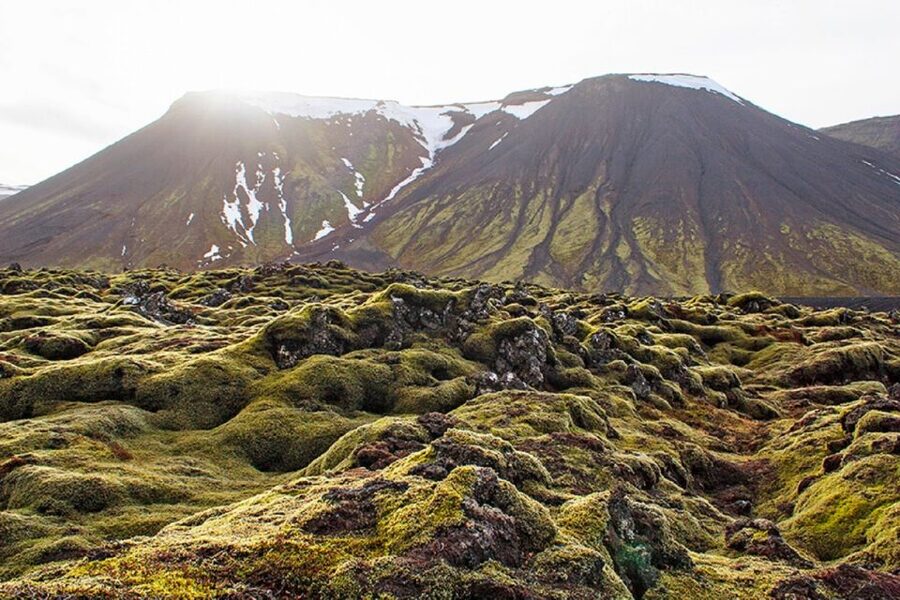 Leidarendi Cave: Lava Tunnel Caving from Reykjavik - Should you book Leidarendi Cave?