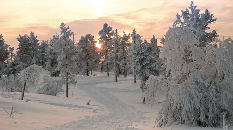 Levi: 4 Hour Snowmobile Safari to the Fells in Levi - Key points to know before booking