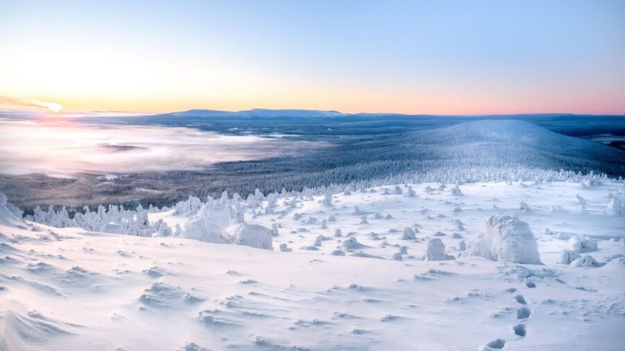 Levi: 4 Hour Snowmobile Safari to the Fells in Levi - Practical advice for a smoother ride