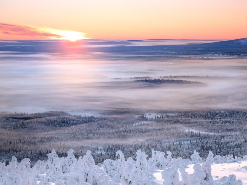 Levi: 4 Hour Snowmobile Safari to the Fells in Levi - Is $233 a fair price?