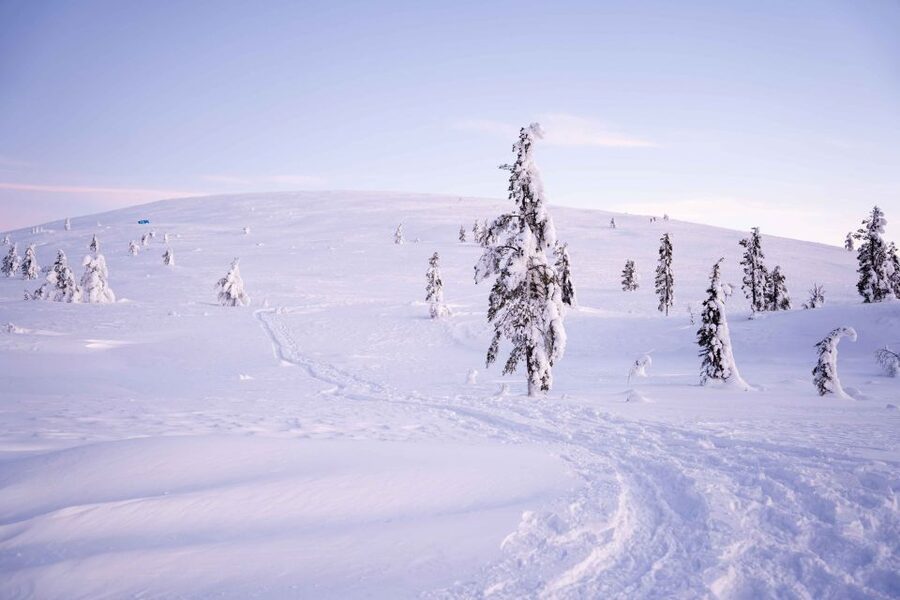 Levi: Backcountry Skiing Adventure - Key points before you book