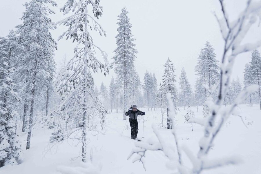 Levi: Backcountry Skiing Adventure - Photographing snow, trees, and possible wildlife