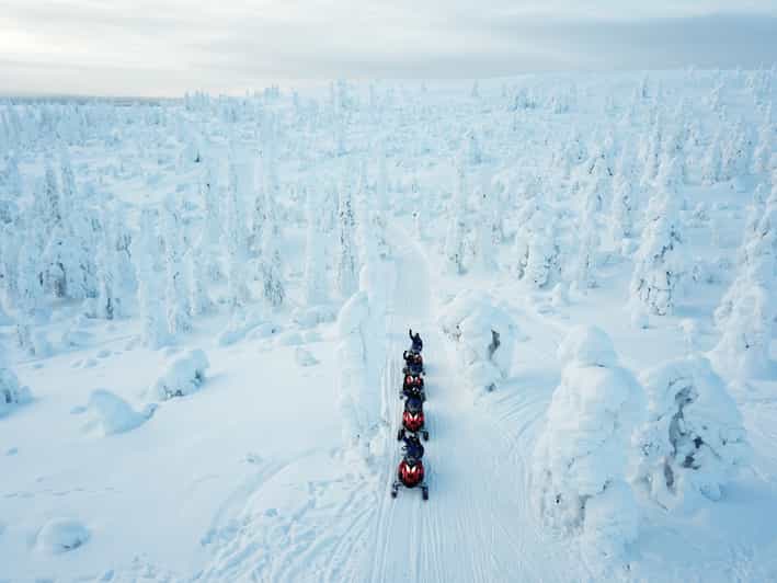 Levi: Easy Snowmobile Safari into the Nature - Key points to know before you book
