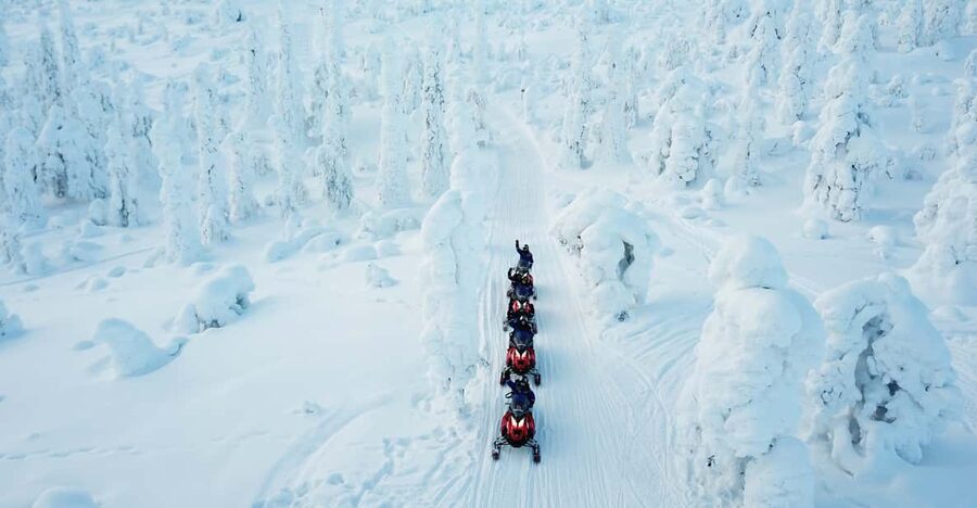 Levi: Easy Snowmobile Safari into the Nature - Who will enjoy this Levi safari most