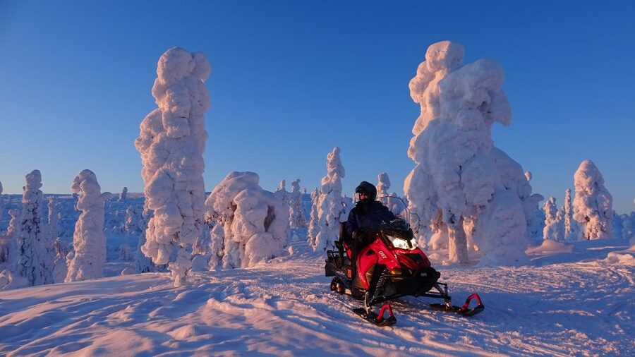 Levi: Evening Snowmobile Safari - Practical advice for a smoother evening