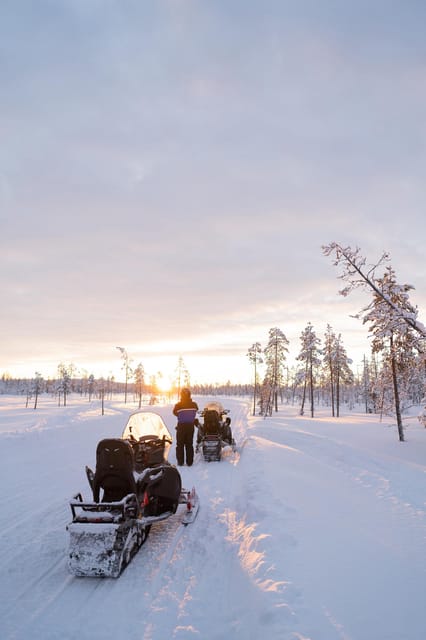Levi: Husky and Reindeer Farm Visit with Snowmobiling - Is $233 a fair price?