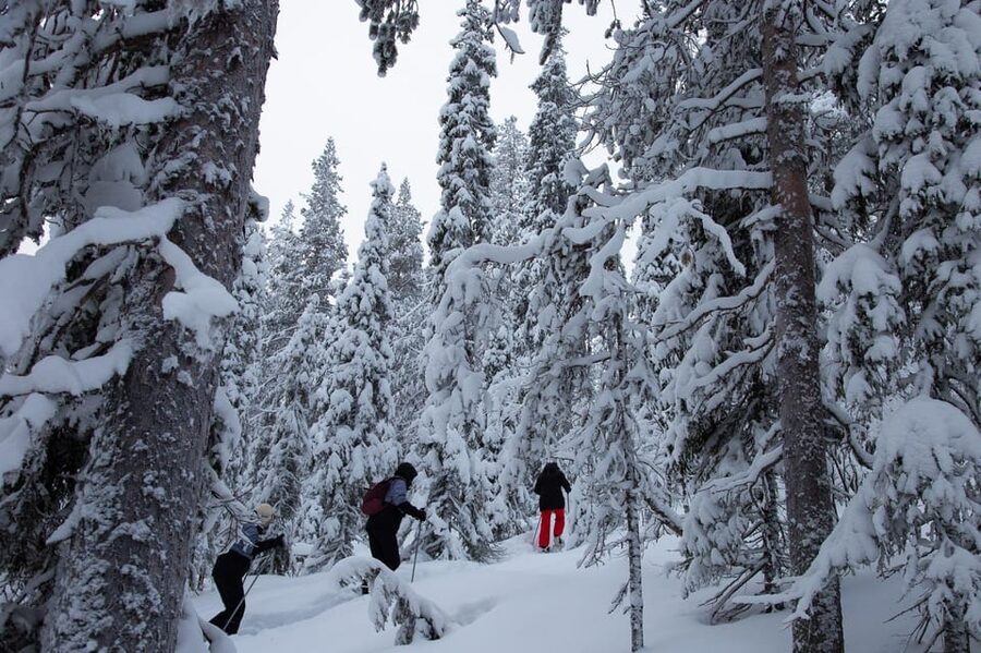 Levi: Lakeside forest snowshoeing - Starting at Levi Tourist Information