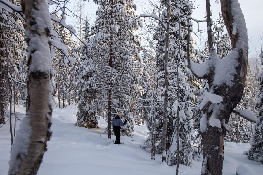 Levi: Lakeside forest snowshoeing - Crossing a Frozen Lake