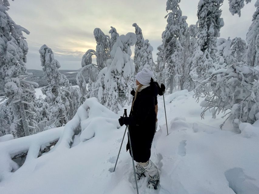 Levi: Lakeside forest snowshoeing - Should You Book This Levi Snowshoe Walk?