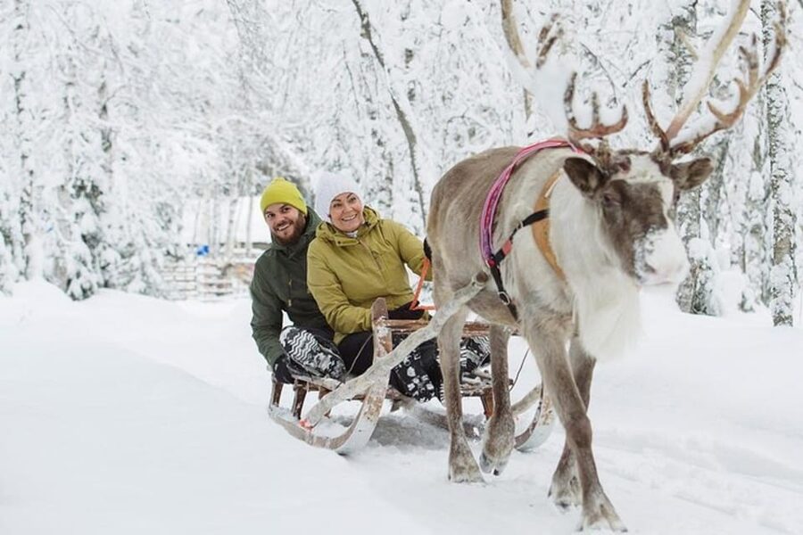 Levi: Lapland Reindeer and Husky Safari - At the reindeer farm, a quiet start