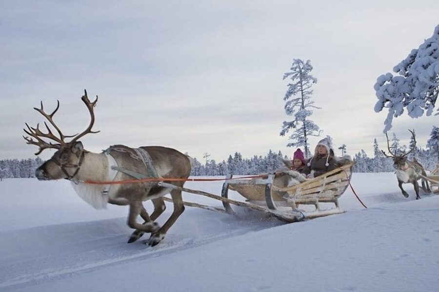Levi: Lapland Reindeer and Husky Safari - What the two rides really include