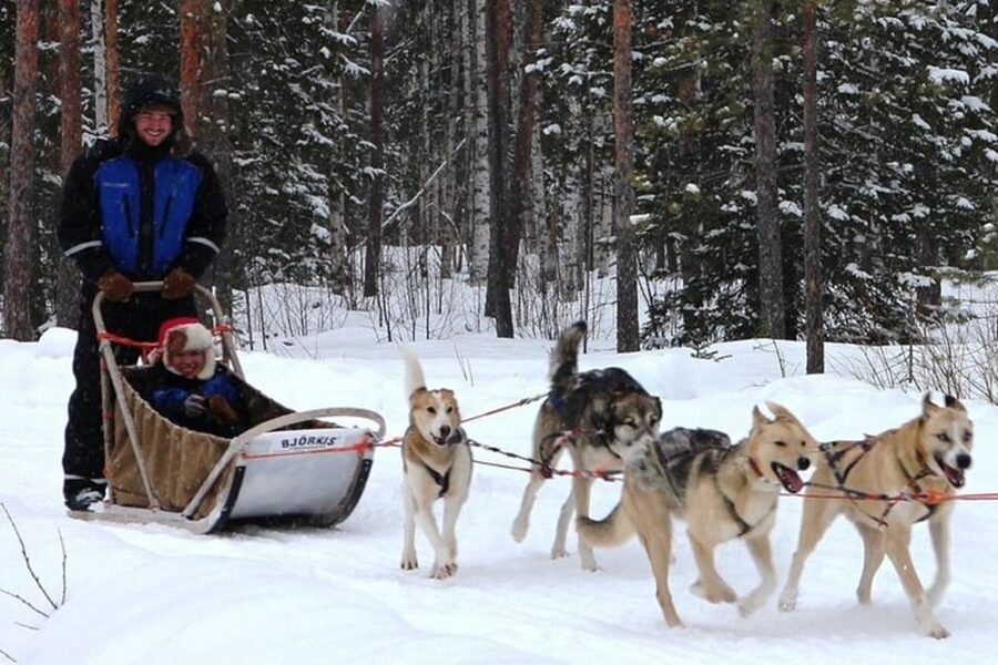 Levi: Lapland Reindeer and Husky Safari - Dressing for an open sled in Finnish winter