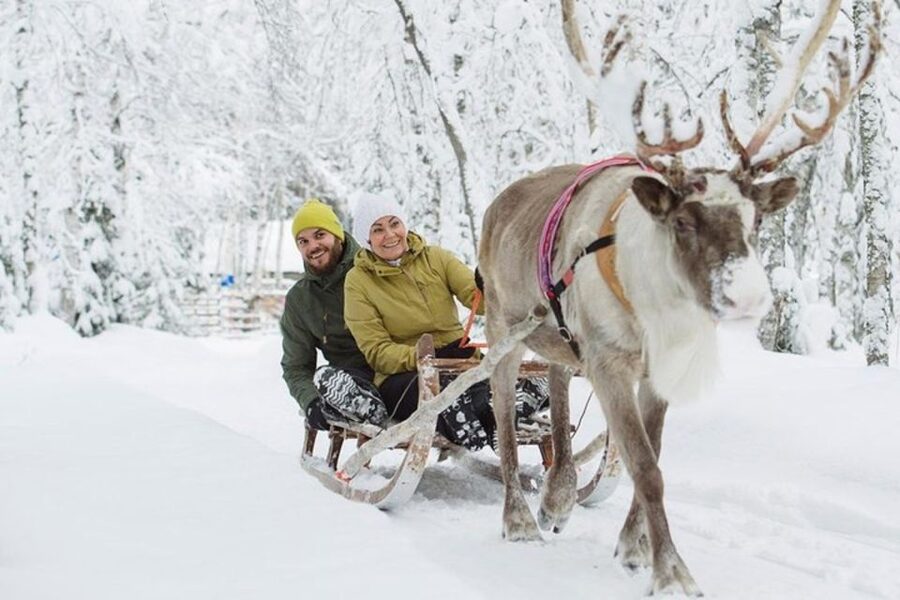 Levi: Lapland Reindeer Safari - Hot drinks, cookies, and a fire hut