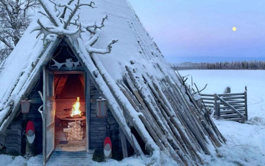 Levi: Lapland Reindeer Safari - Meeting the reindeer and feeding them lichen