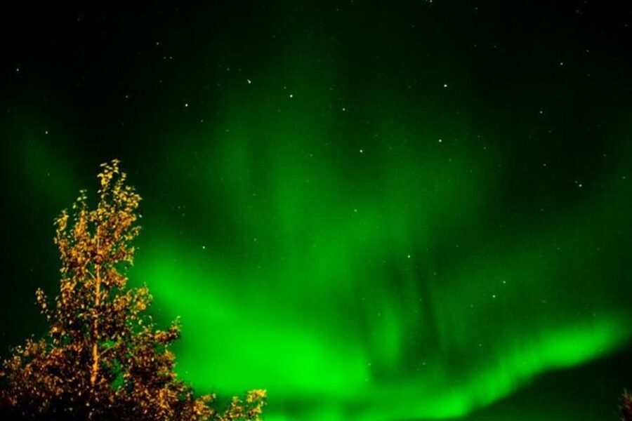 Levi: Northern Lights Hunt Including Campfire Snacks - Price and value at $153
