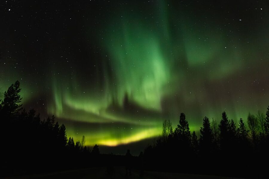 Levi: Northern Lights Hunting Photo Tour - Key points to know before booking