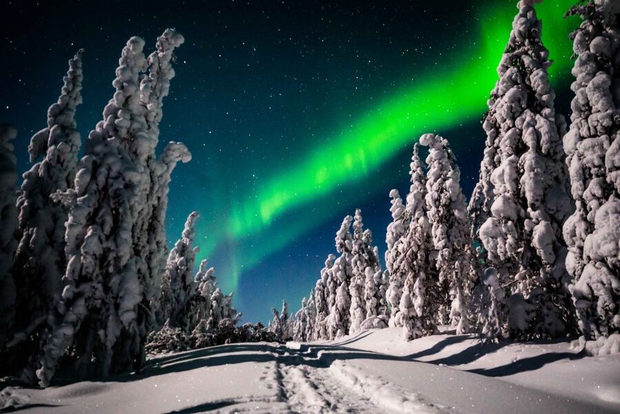 Levi: Northern Lights Hunting - Photography Tour - Who should book this Aurora hunt?