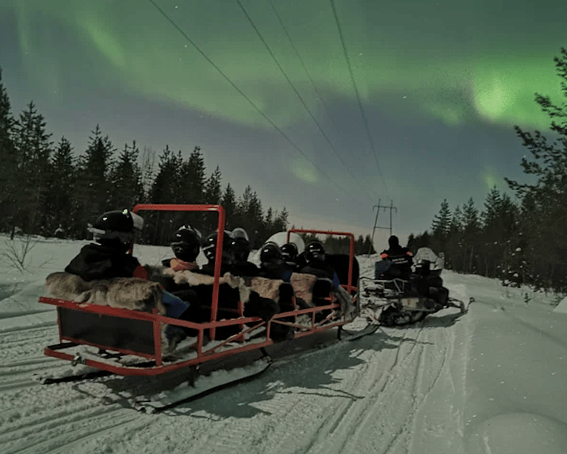 Levi: Northern Lights Sledge Ride - Riding into Levi’s Arctic night