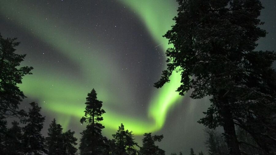Levi: Northern Lights Snowmobile Tour with Snacks and Drinks - Timing, transfers, and meeting-point details