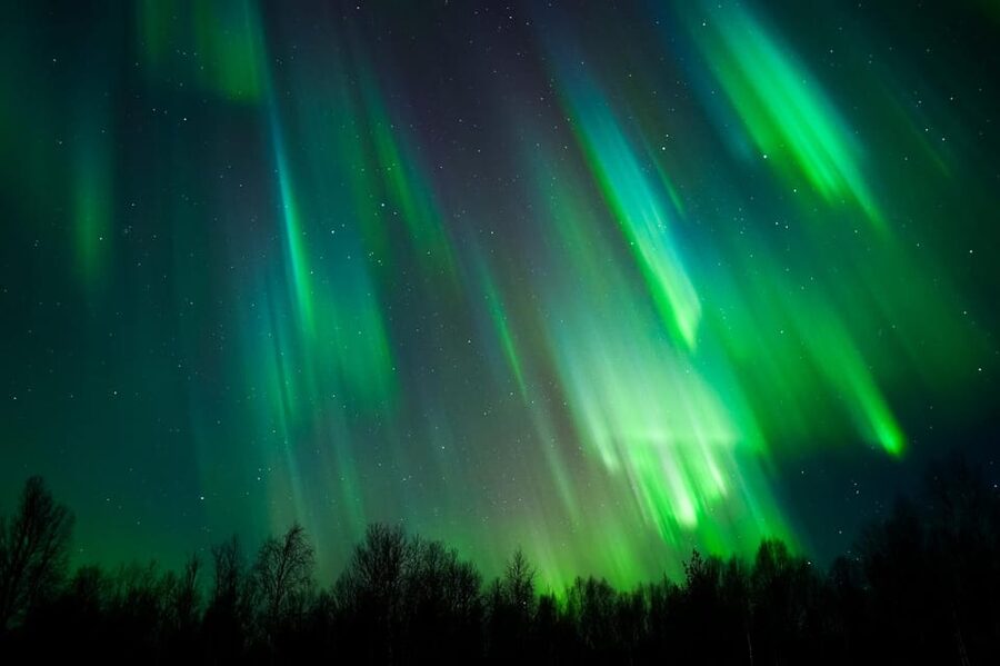 Levi: Northern Lights Tour with Guaranteed Sightings - Leaving Levi in a 2025 Ford Tourneo 4x4