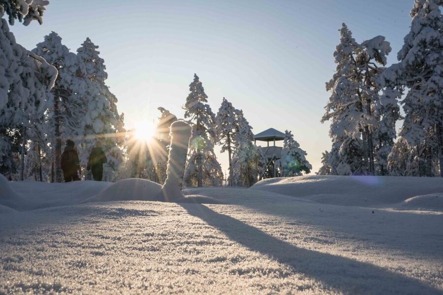 Levi: Pallas National Park Adventure with Pro Photos & BBQ - What the photography guide adds