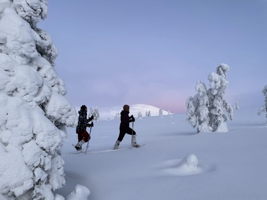 Levi: Pallas-Yllästunturi National Park Snowshoeing Tour - Two hours across fells and forest