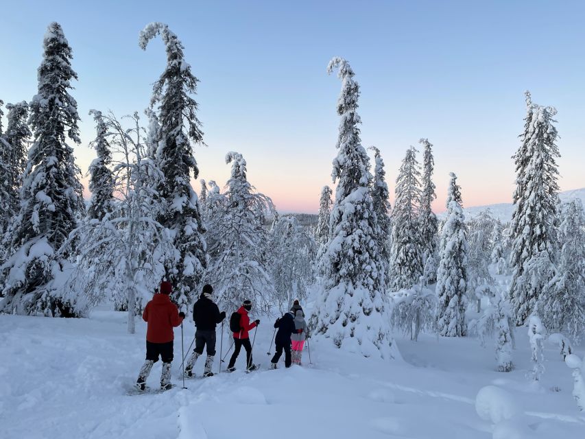 Levi: Pallas-Yllästunturi National Park Snowshoeing Tour - A one-hour hut break with campfire food