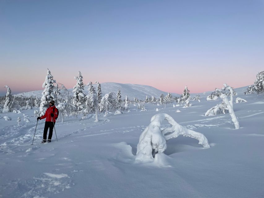 Levi: Pallas-Yllästunturi National Park Snowshoeing Tour - The second hour brings a different rhythm