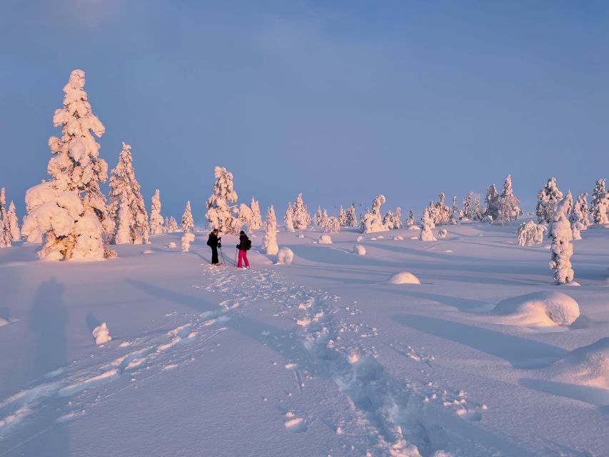 Levi: Pallas-Yllästunturi National Park Snowshoeing Tour - The silence is the real attraction