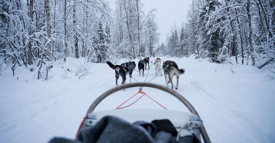 Levi Polar Lights Tours: Arctic Circle Guided Husky Tour - What happens at Levi Center