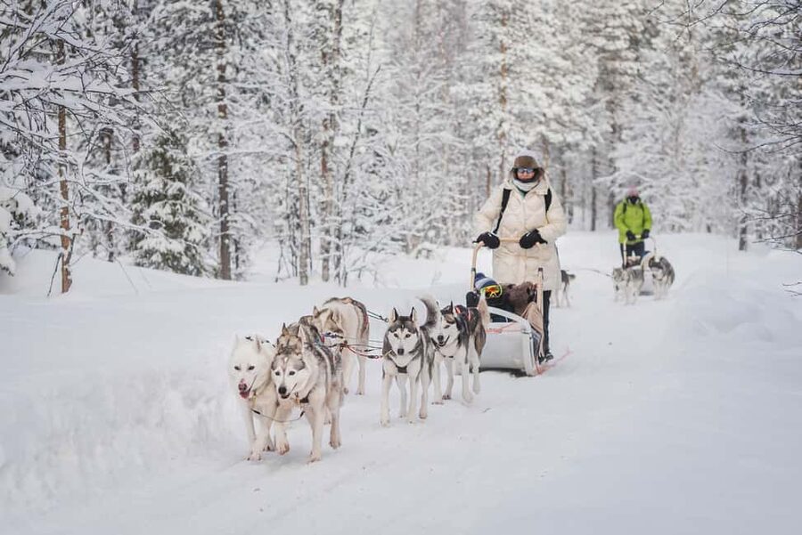 Levi Polar Lights Tours: Path of the Gnome Husky Safari 15km - From Levi Center to the husky farm