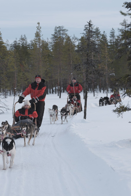 Levi Polar Lights Tours: Path of the Gnome Husky Safari 15km - Learning to drive a husky sled