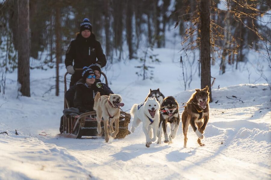 Levi Polar Lights Tours: Path of the Gnome Husky Safari 15km - The 15 to 18 km run through Lapland