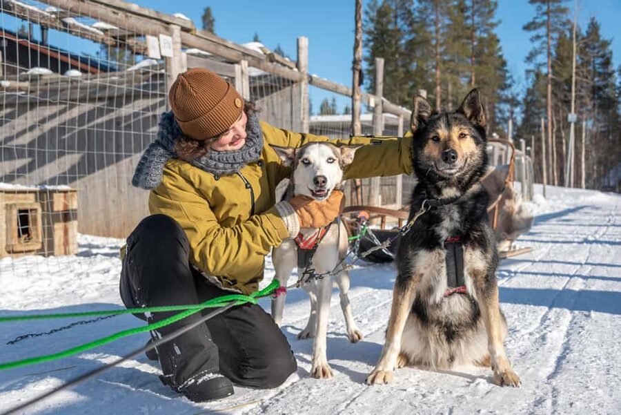 Levi Polar Lights Tours: Reindeer and Husky Taster - Photos, hot juice, and a short break