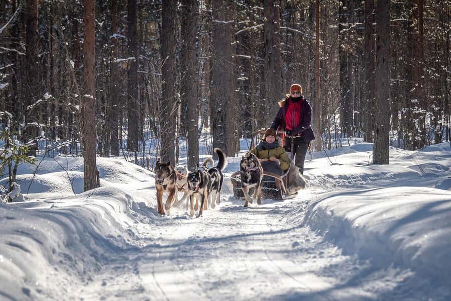 Levi Polar Lights Tours: Reindeer and Husky Taster - Meeting the bus in central Levi