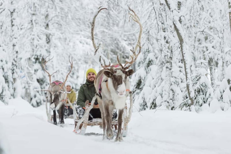 Levi: Reindeer Experience with Sled Ride - Key points to know before booking