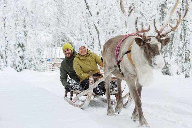 Levi Reindeer Safari - Long or Quick - with Sledge Ride - Guides, group size, and the pace of the visit