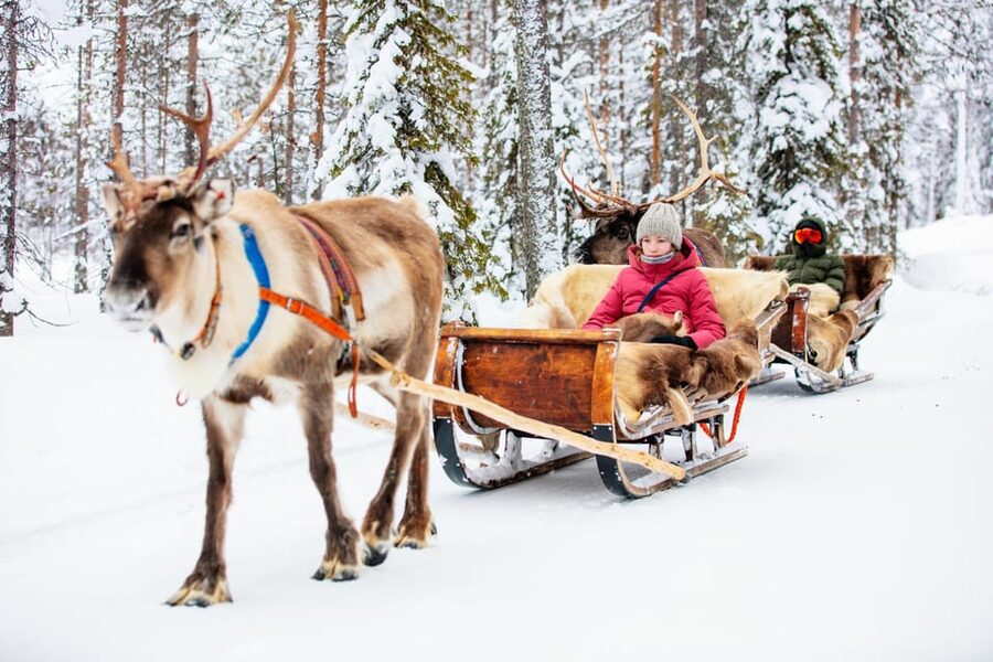 Levi: Reindeer Sleigh Ride Tour in Snowy Forest - A campfire, berry juice, and local snacks