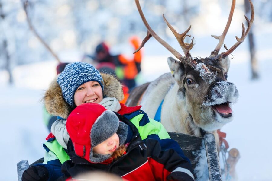 Levi: Reindeer Sleigh Ride Tour in Snowy Forest - Photos and the pace of the visit