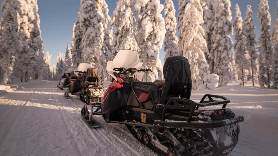 Levi: Snowmobile Safari to the Levi Nature - Photo stops, berry juice, and the human side of the tour