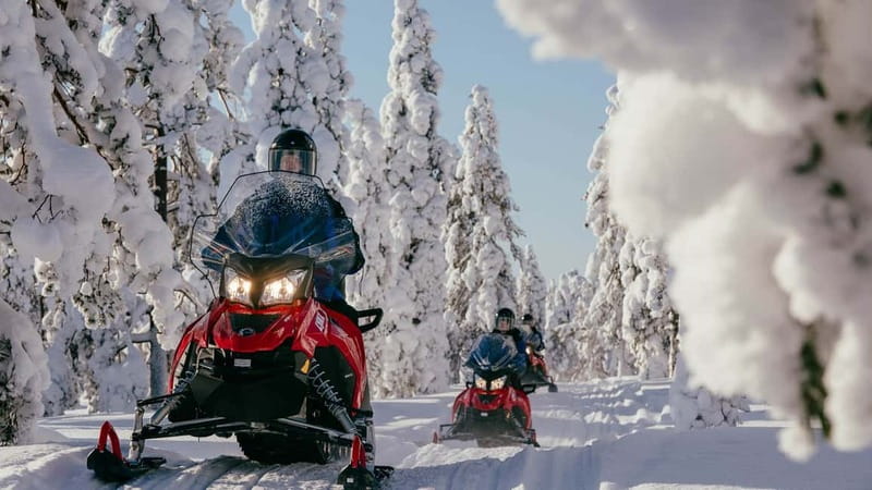 Levi: Snowmobile Safari to the Levi Nature - Meeting at Myllyjoentie 2 in Sirkka