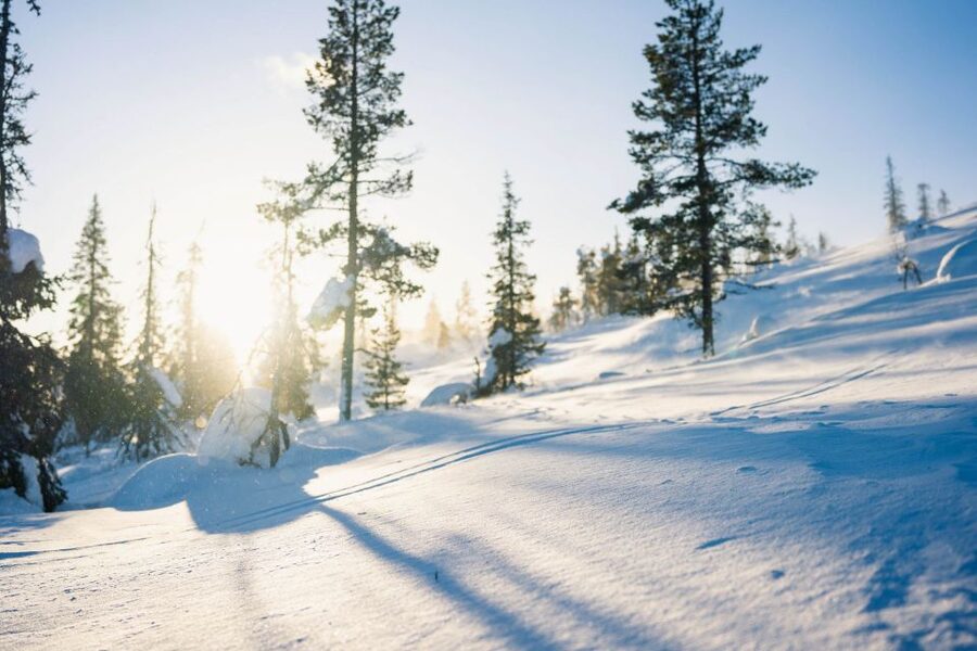 Levi: Snowshoe Adventure in the Wilderness - Final verdict: book it for the forest, fire, and photo skills