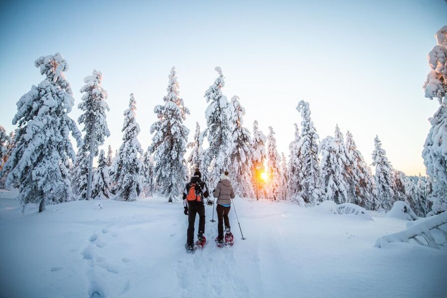 Levi: Snowshoe Adventure in the Wilderness - Is $105 a fair price?