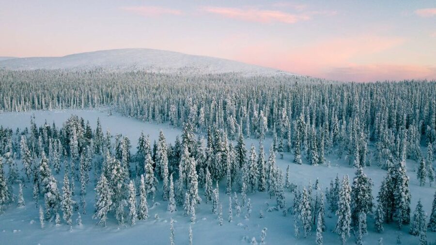 Levi: Snowshoe Adventure in the Wilderness - Who should book this snowshoe outing?