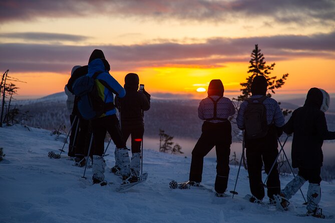 Levi: Snowshoeing adventure in the National Park - From Levi to the fells of Pallas