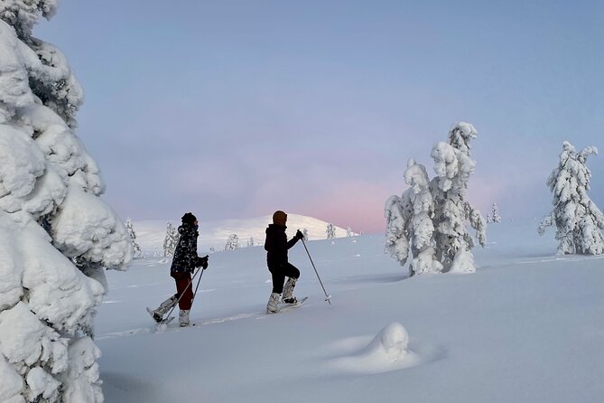 Levi: Snowshoeing adventure in the National Park - A one-hour hut break with fire and food