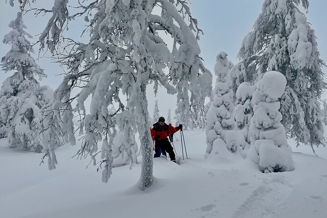 Levi: Snowshoeing adventure in the National Park - What the $191.56 price includes