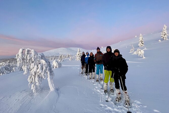 Levi: Snowshoeing adventure in the National Park - Group size, pace, and physical effort