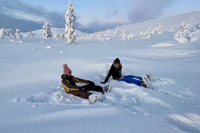 Levi: Snowshoeing adventure in the National Park - Two hours among Pallas-Yllästunturi’s winter fells